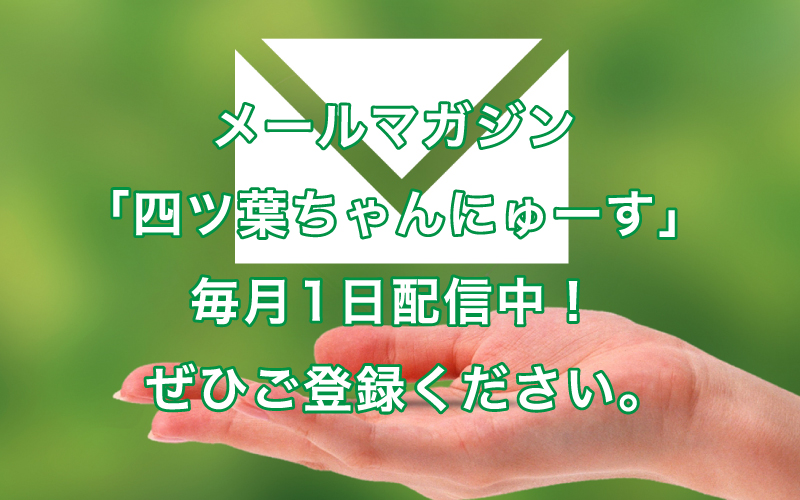 メールマガジン